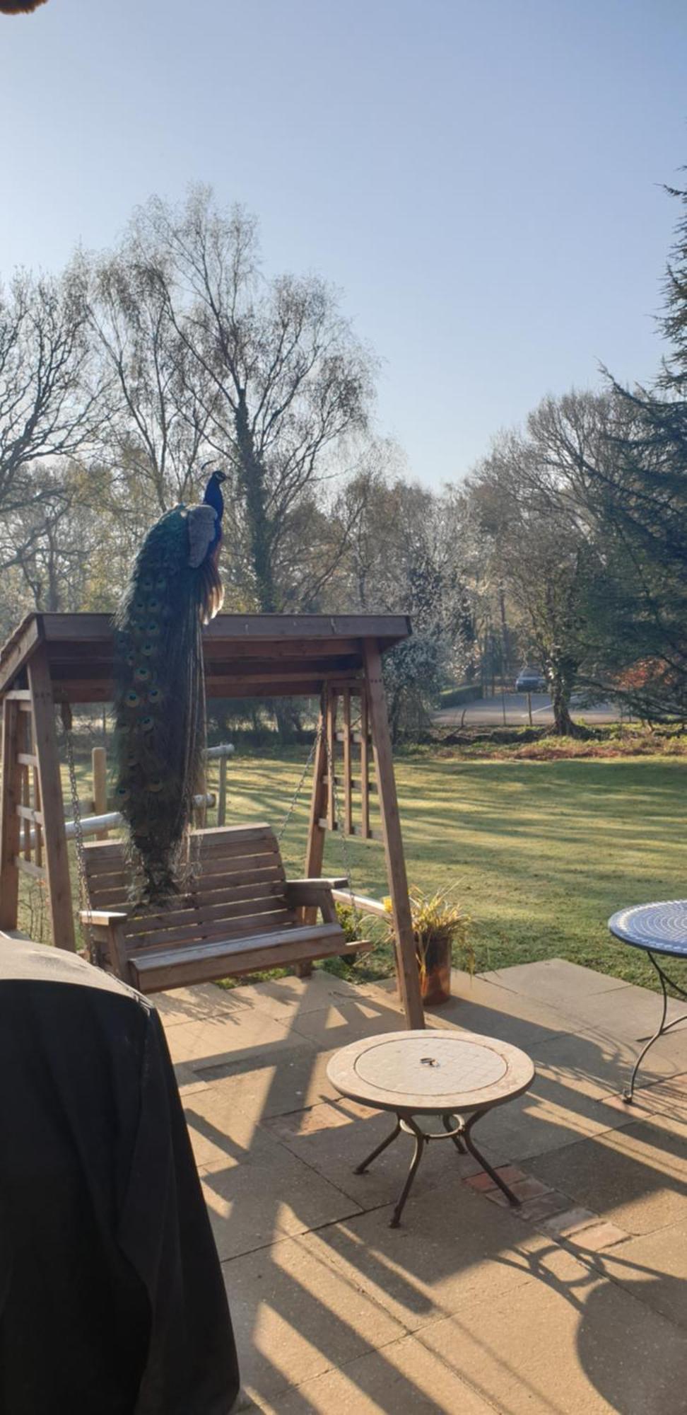 Sika Hut Villa Wareham Bagian luar foto