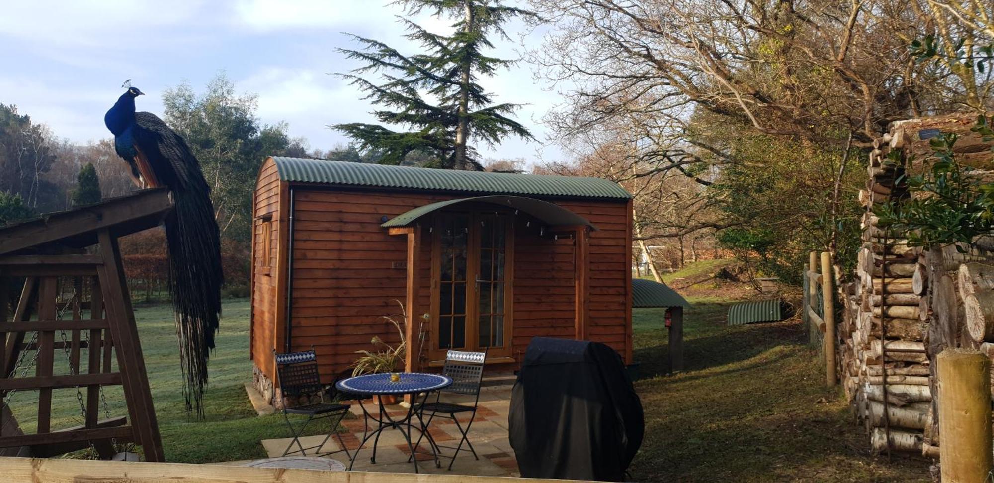 Sika Hut Villa Wareham Bagian luar foto